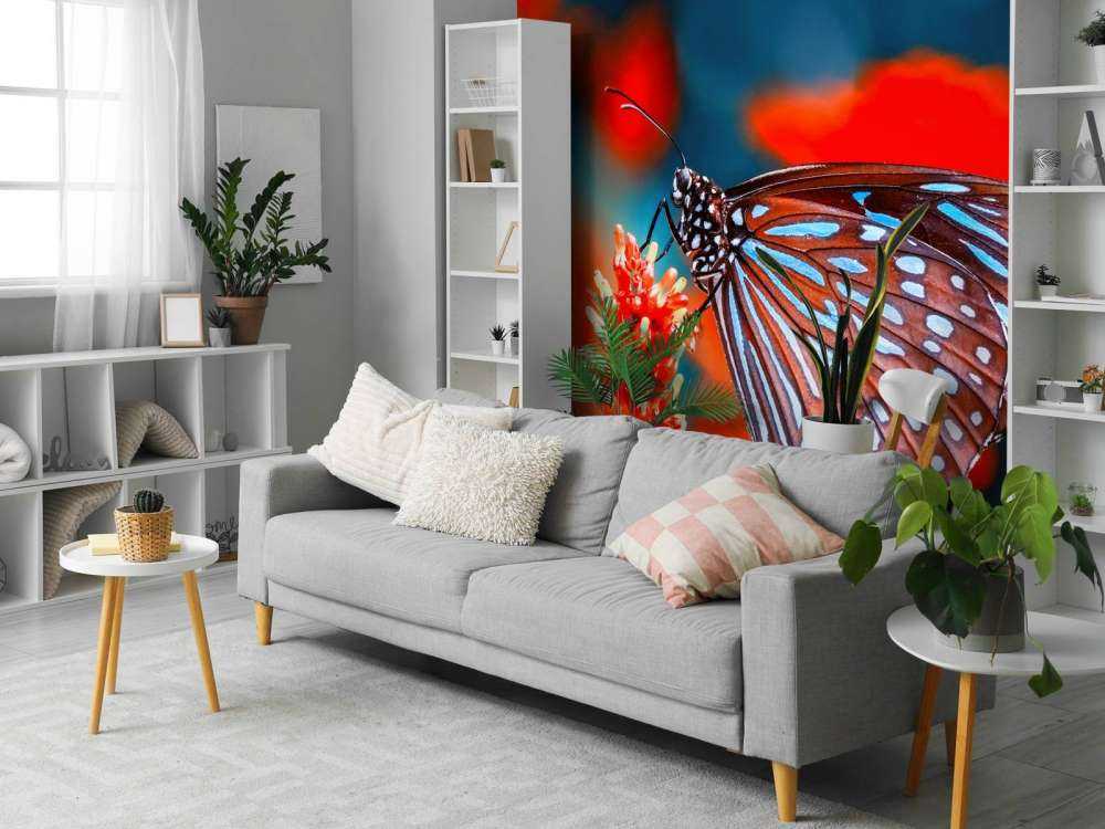 Papillon rouge