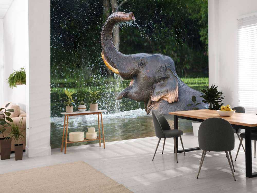 L'éléphant dans l'eau