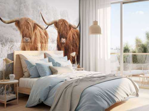 Hiver Highlander