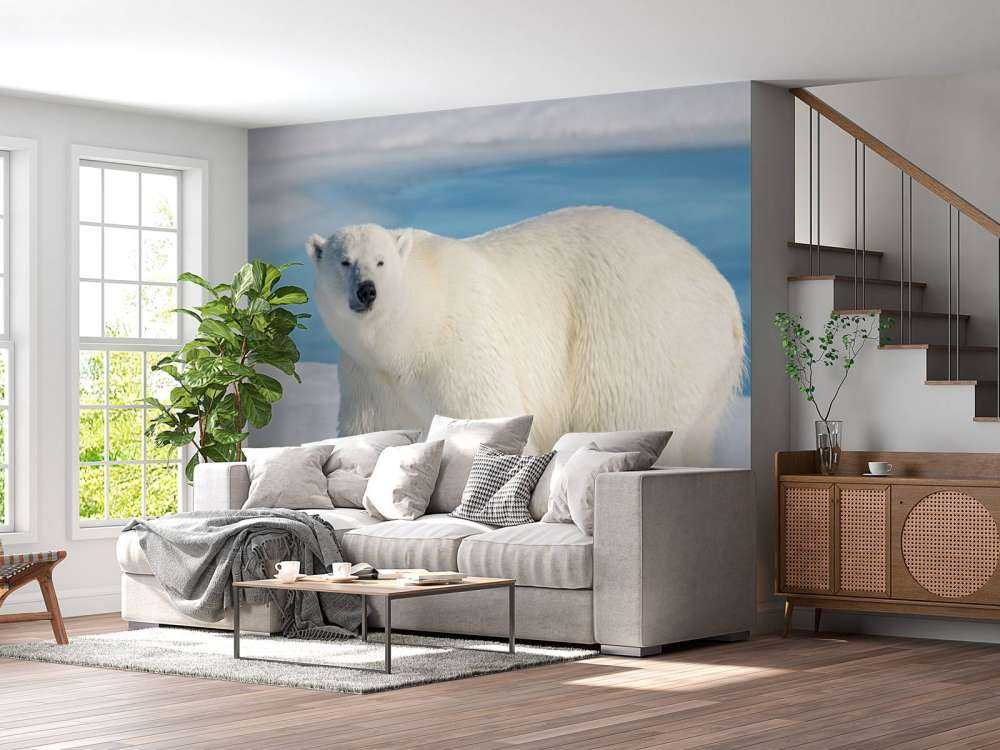 Ours polaire