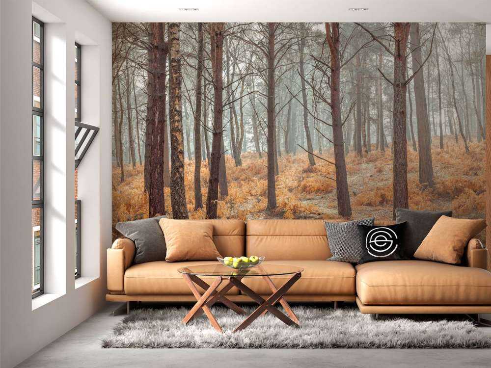 Forêt en automne