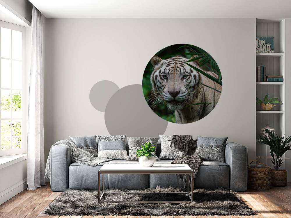 Tigre blanc