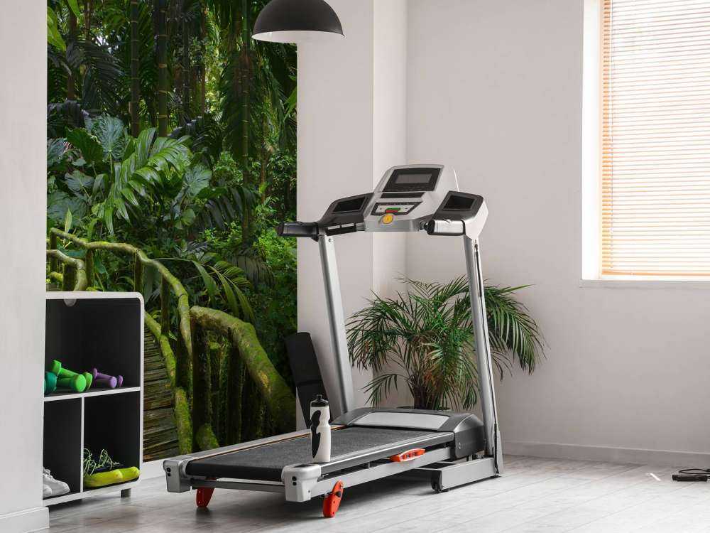 Pont étroit dans la jungle