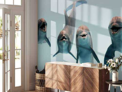 Dauphins rieurs