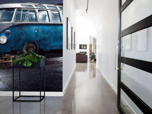 Camionette VW