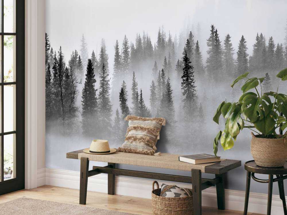 Foggy Forest -1x