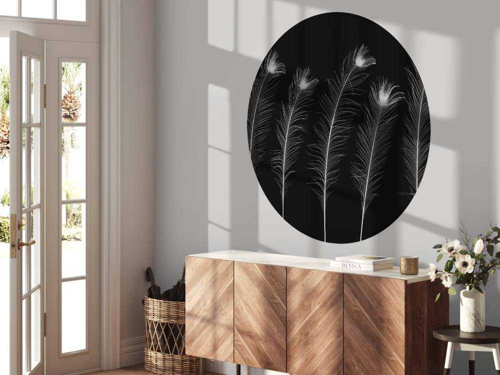 Plumes de paon blanches