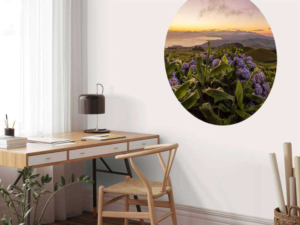 Coucher de soleil avec des hortensias