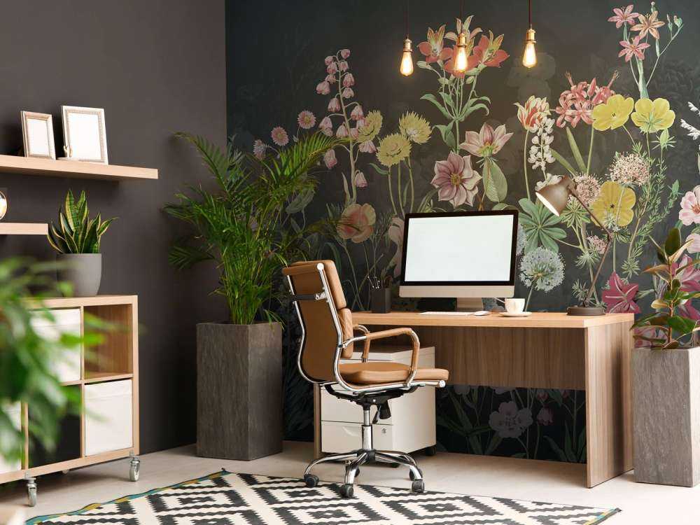 Primula 11