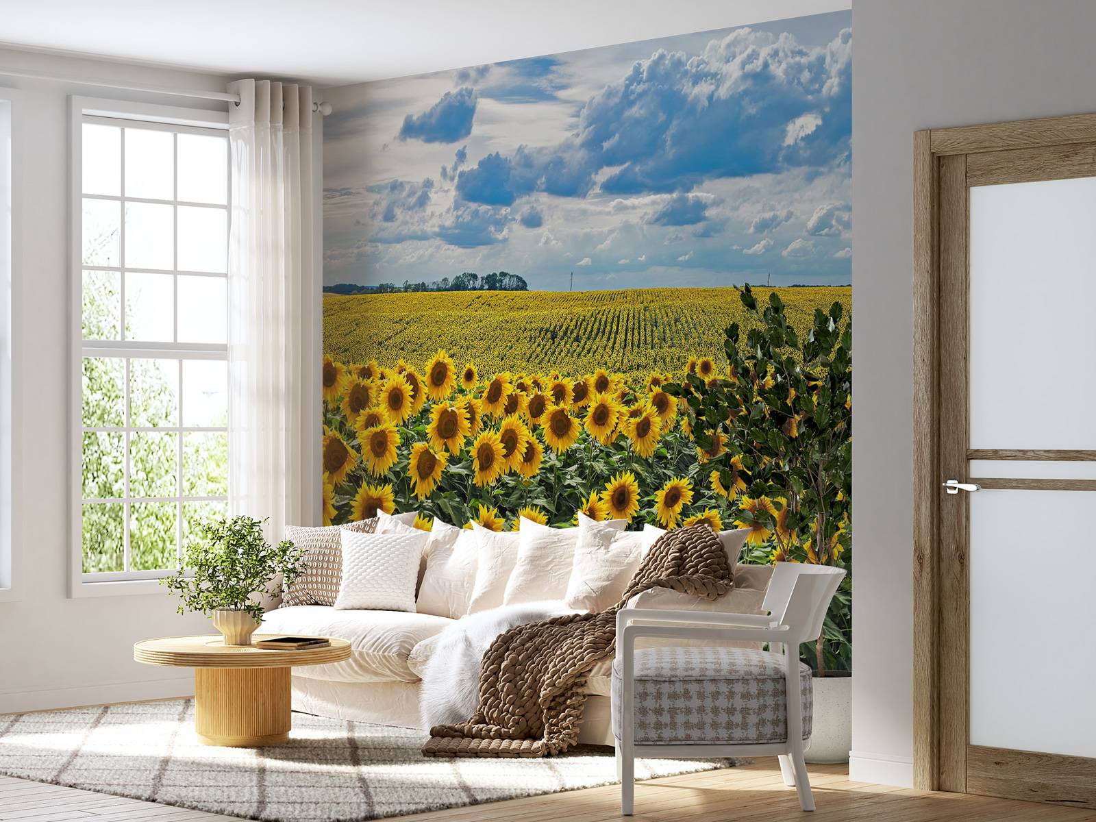 Une prairie pleine de tournesols