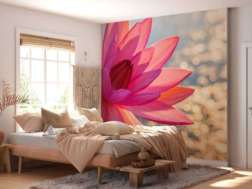 Fleur de lotus sur l'eau