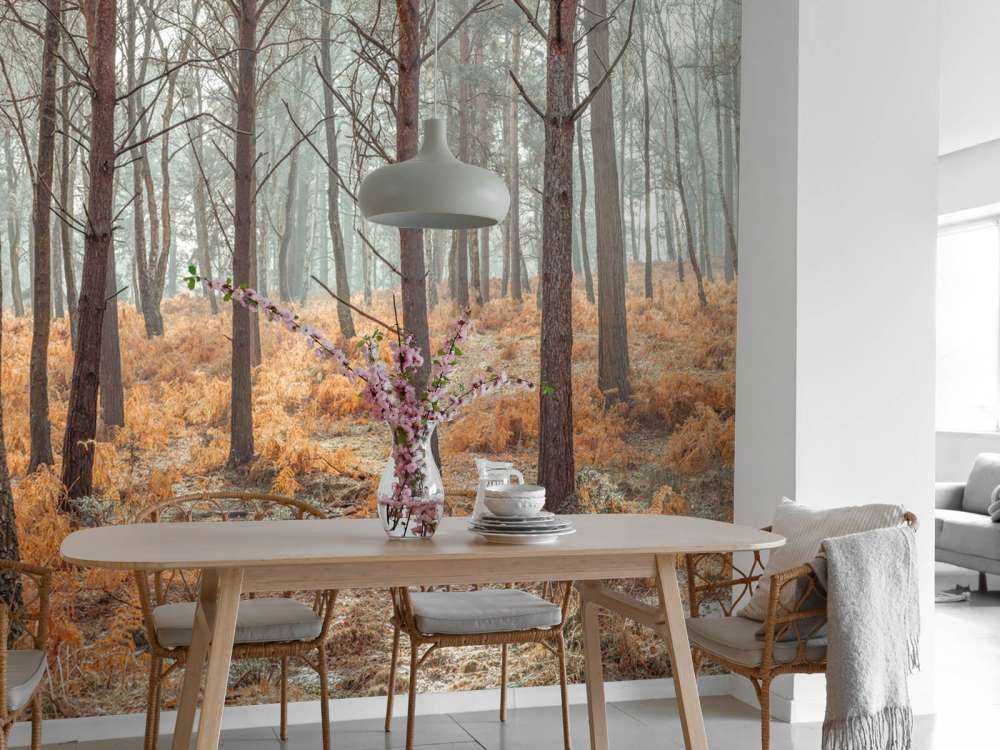 Forêt en automne