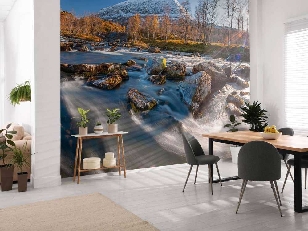 Rivière de montagne