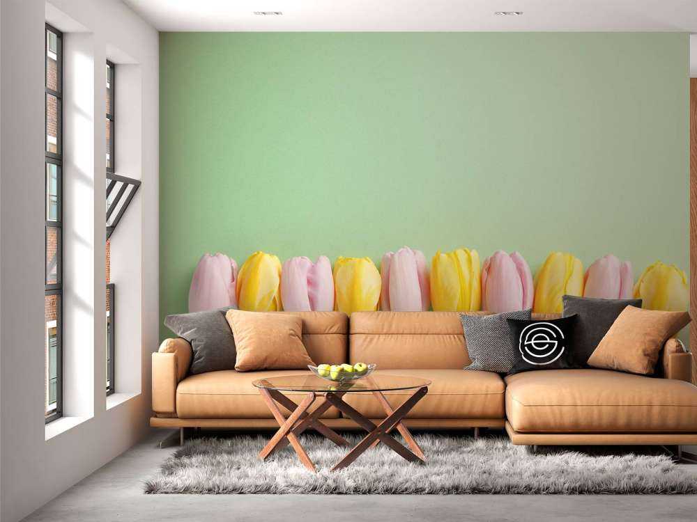 Petites tulipes sur vert menthe