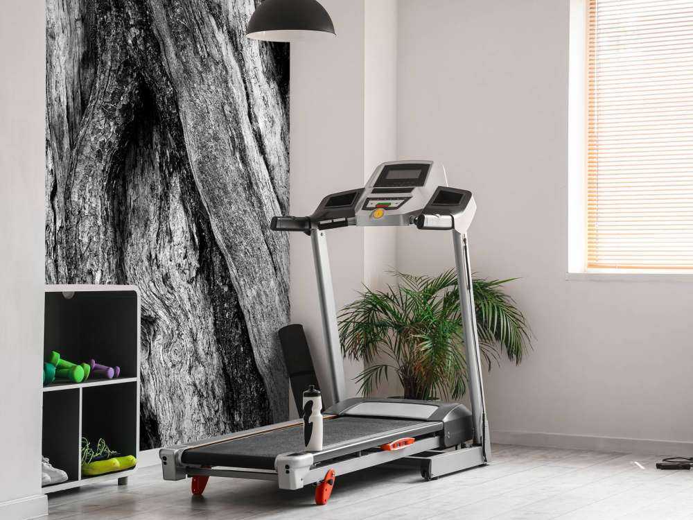 Arbre noir