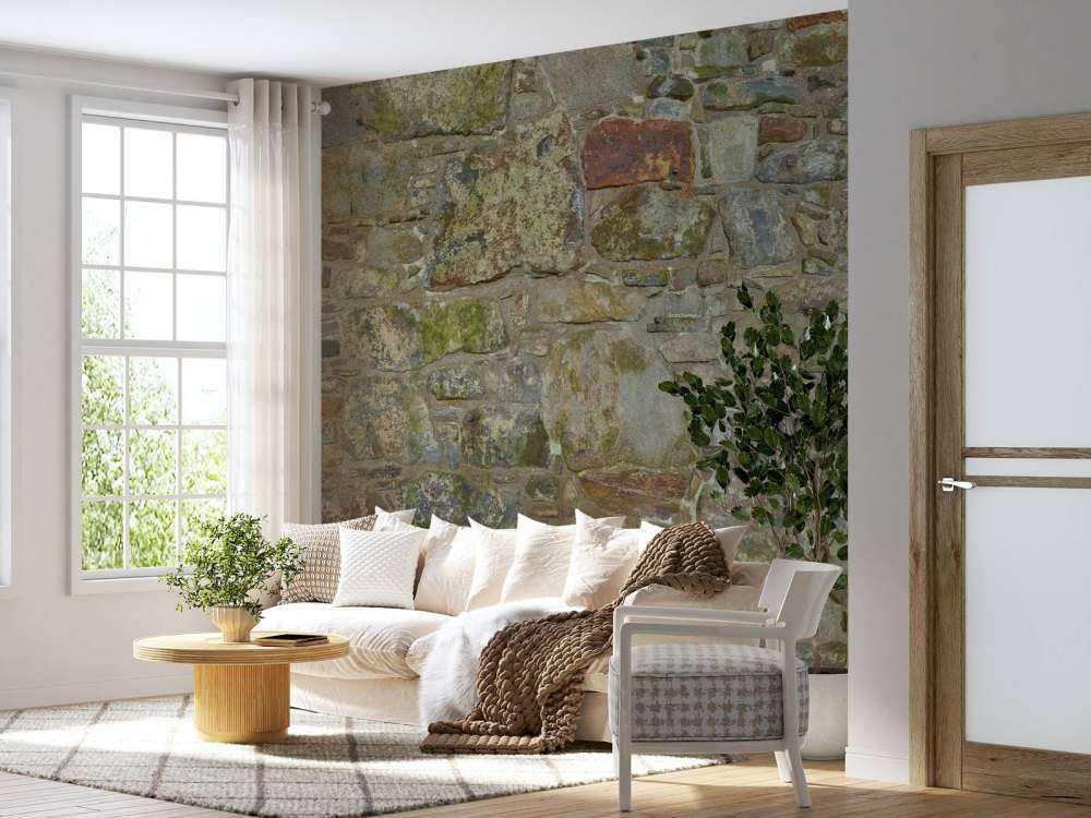 Vieux mur avec mousse
