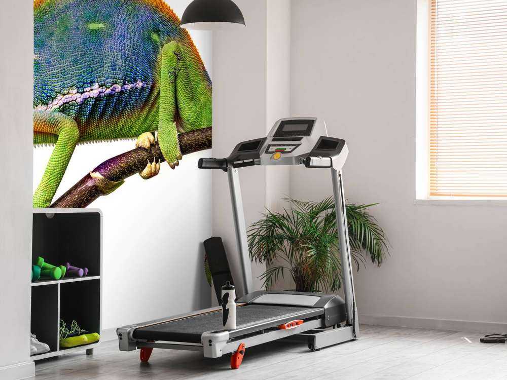 Caméléon