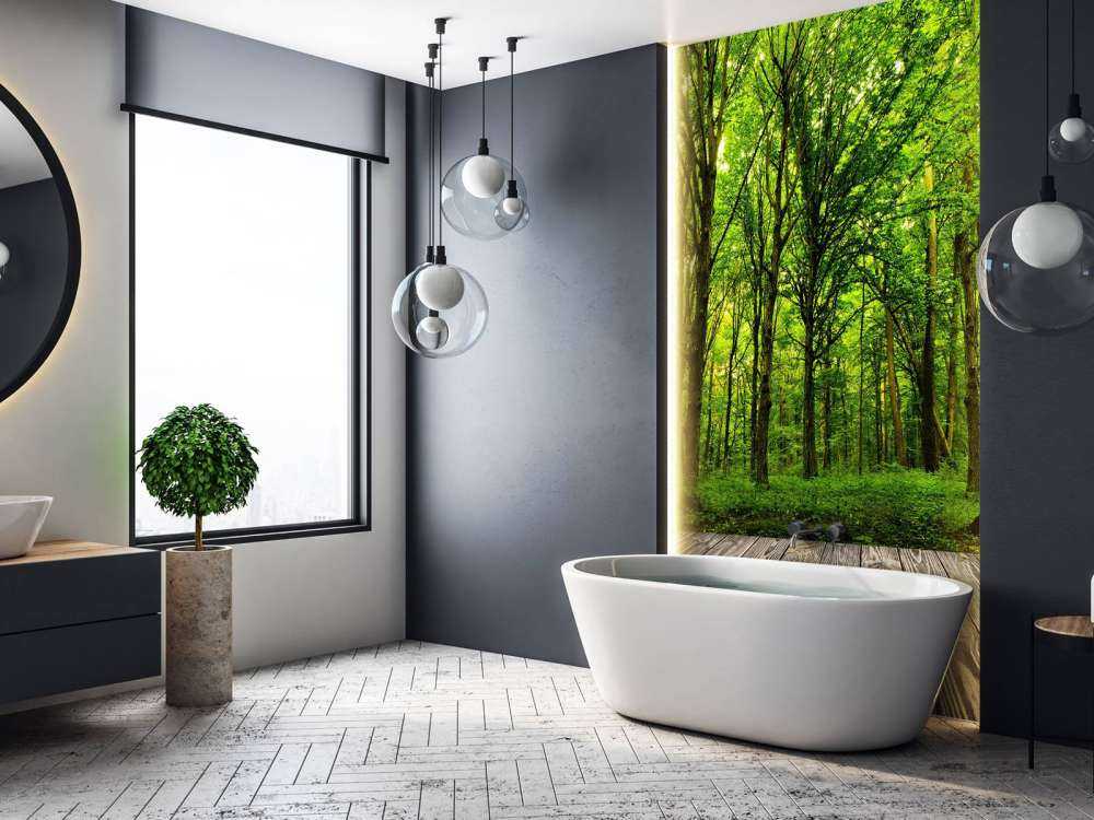Forêt luxuriante