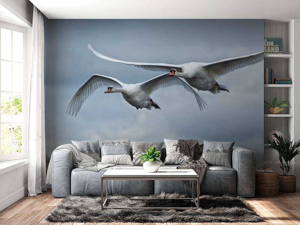 Cygne volant