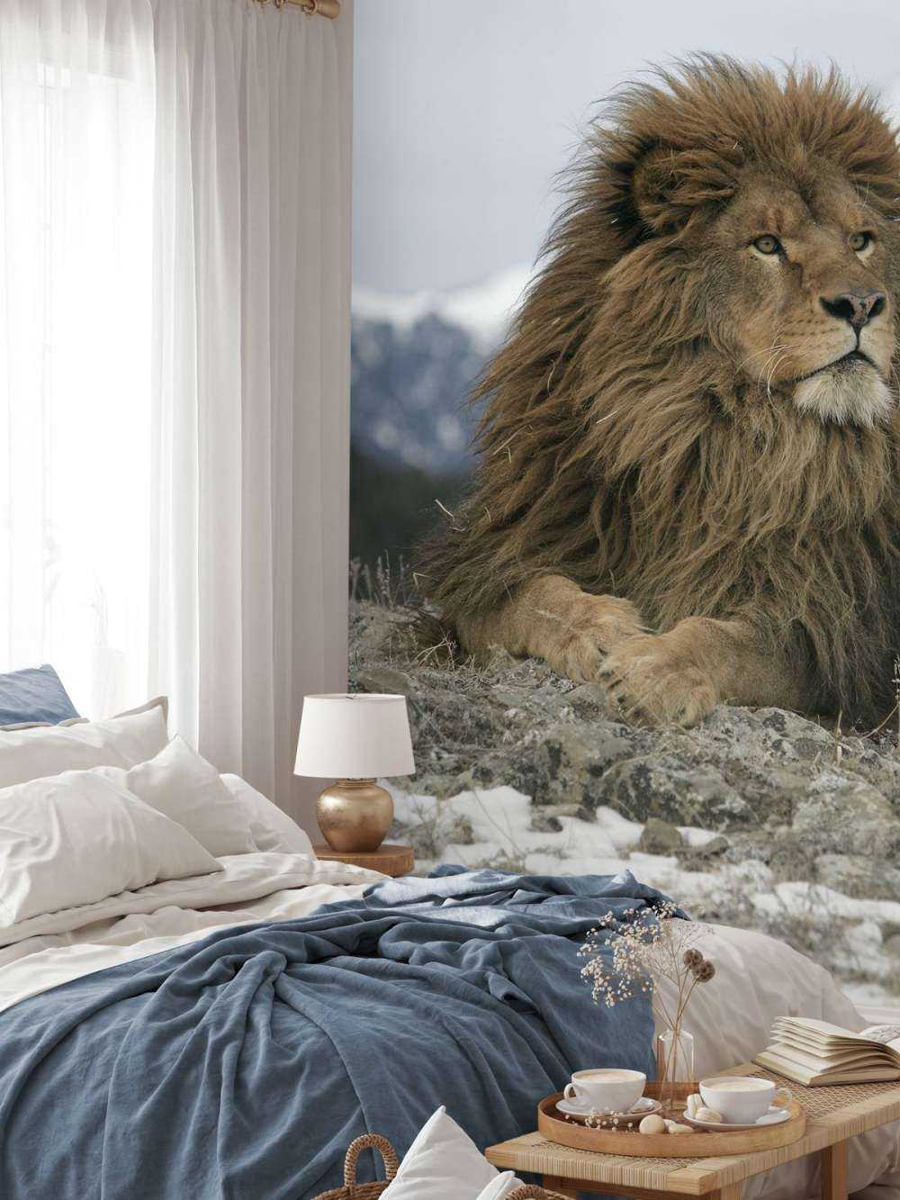 lion de Barbarie