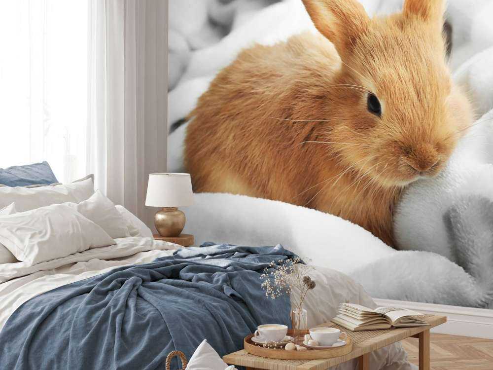 Lapin brun