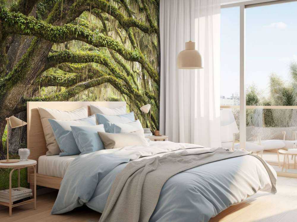 Forêt enchantée