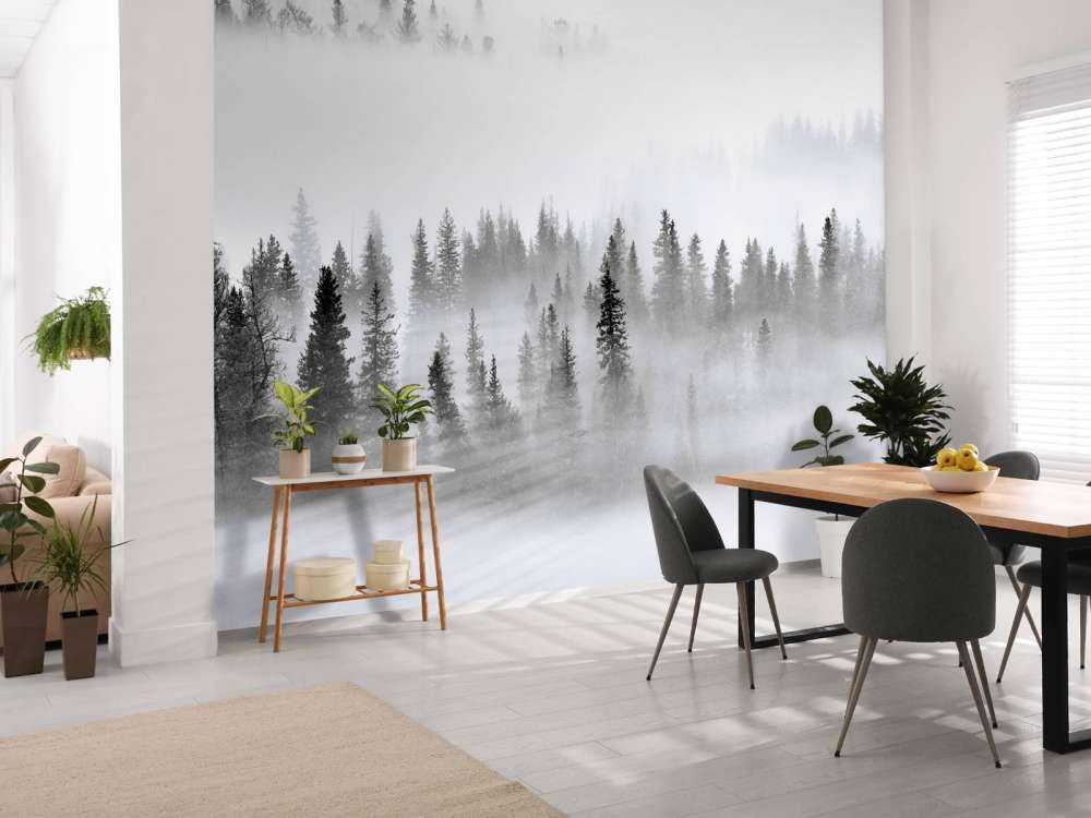 Foggy Forest -1x