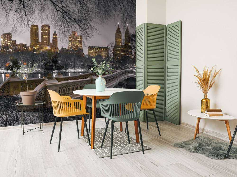 Central park et Manhattan