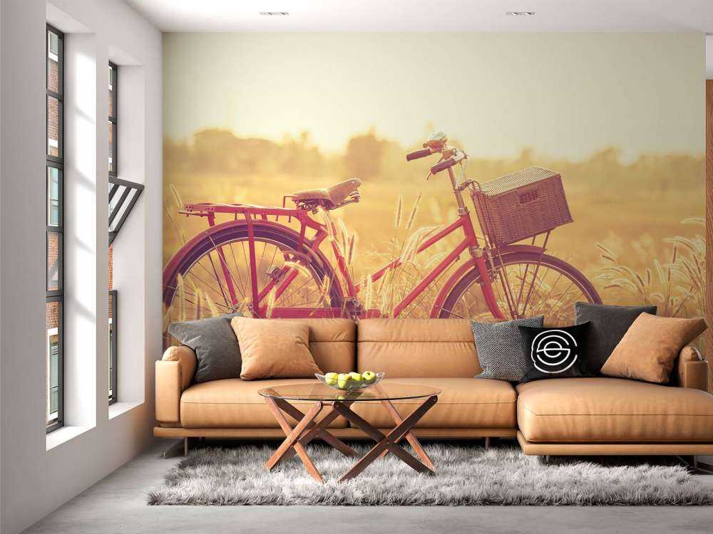 Vélo d'époque