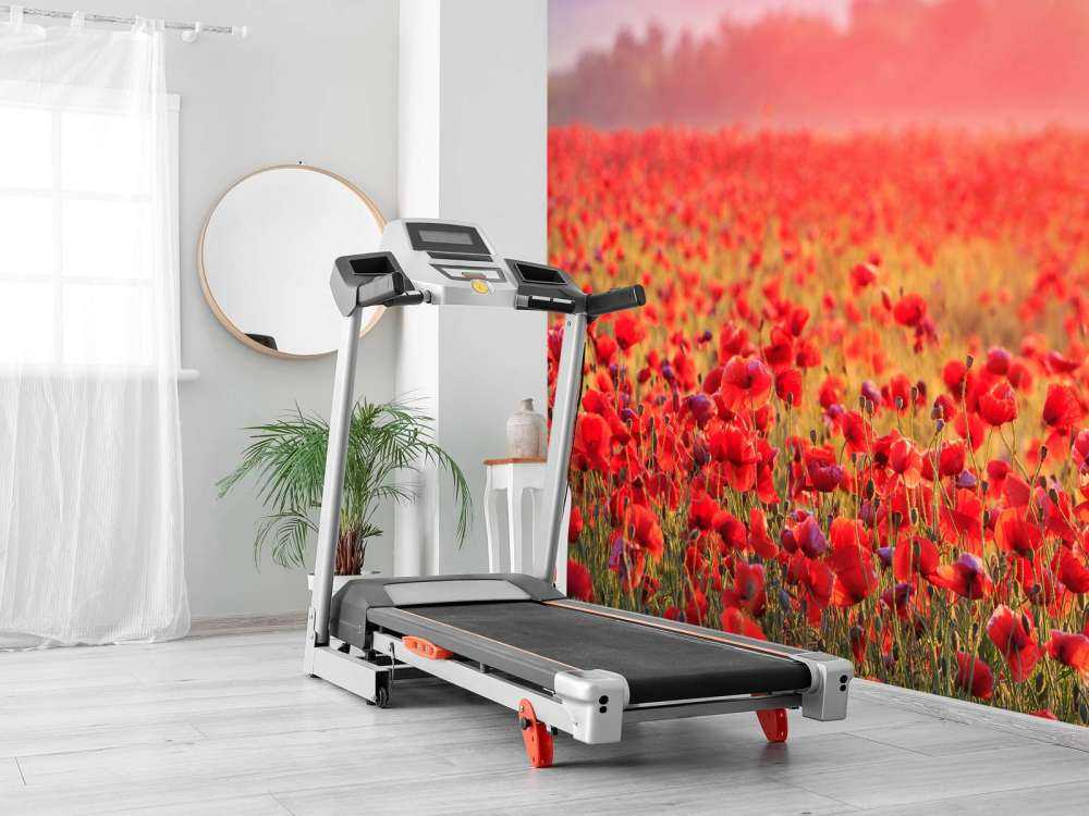 Champ plein de coquelicots