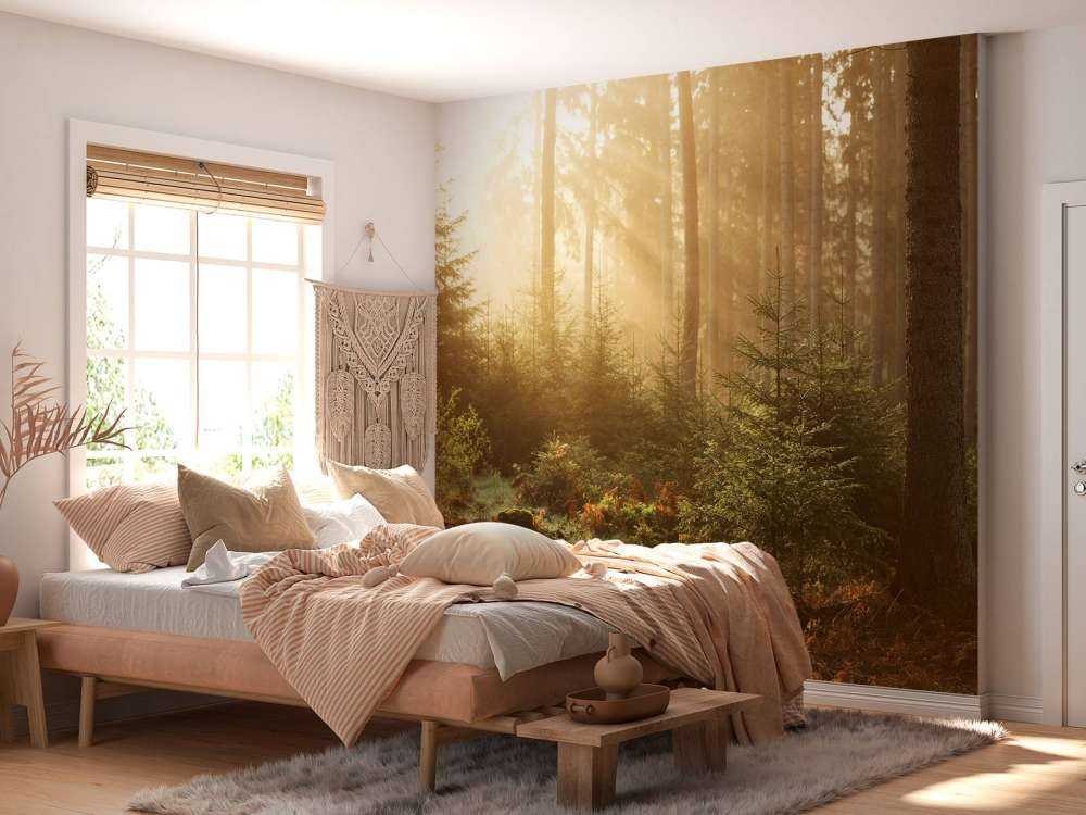 Rayons de soleil à travers la forêt