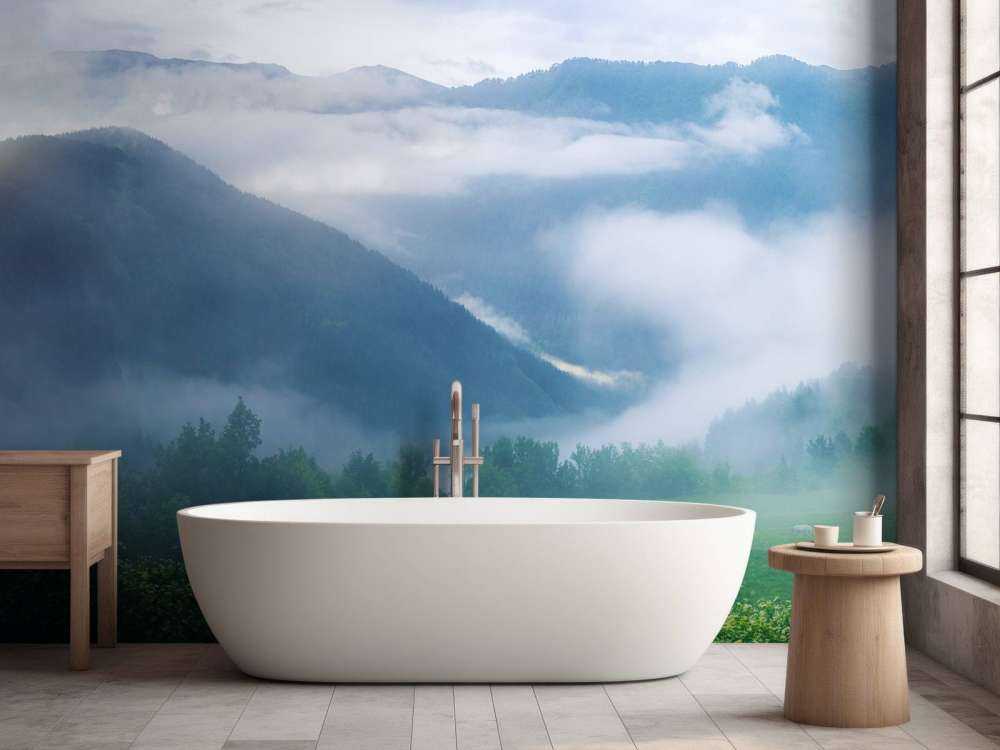 Belle forêt