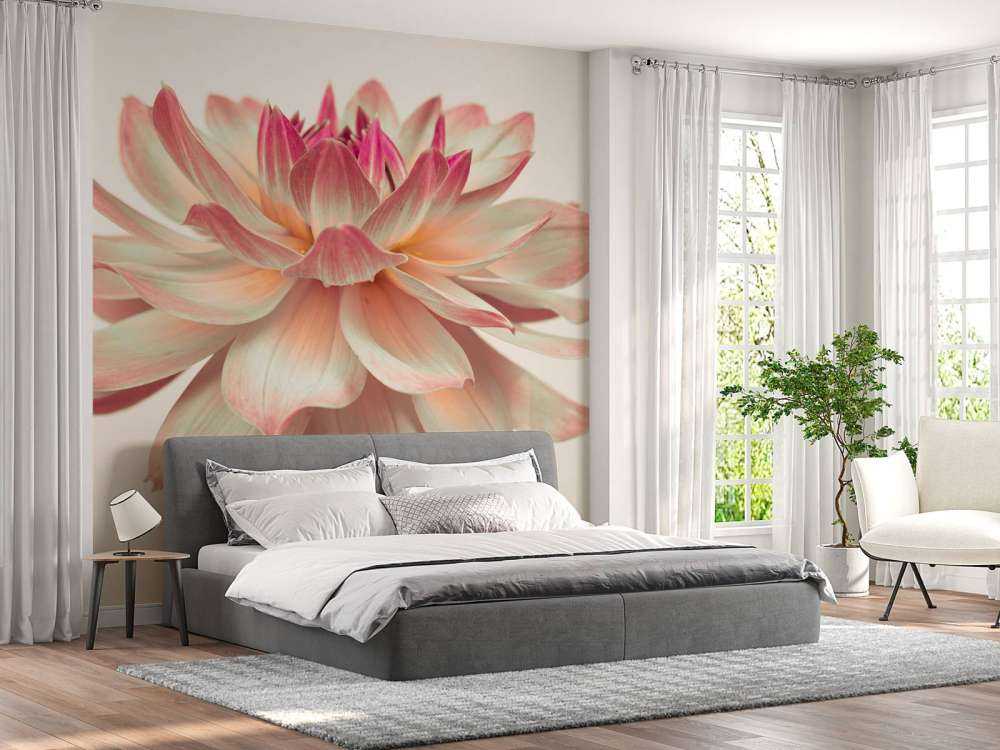 Fleur de dahlia