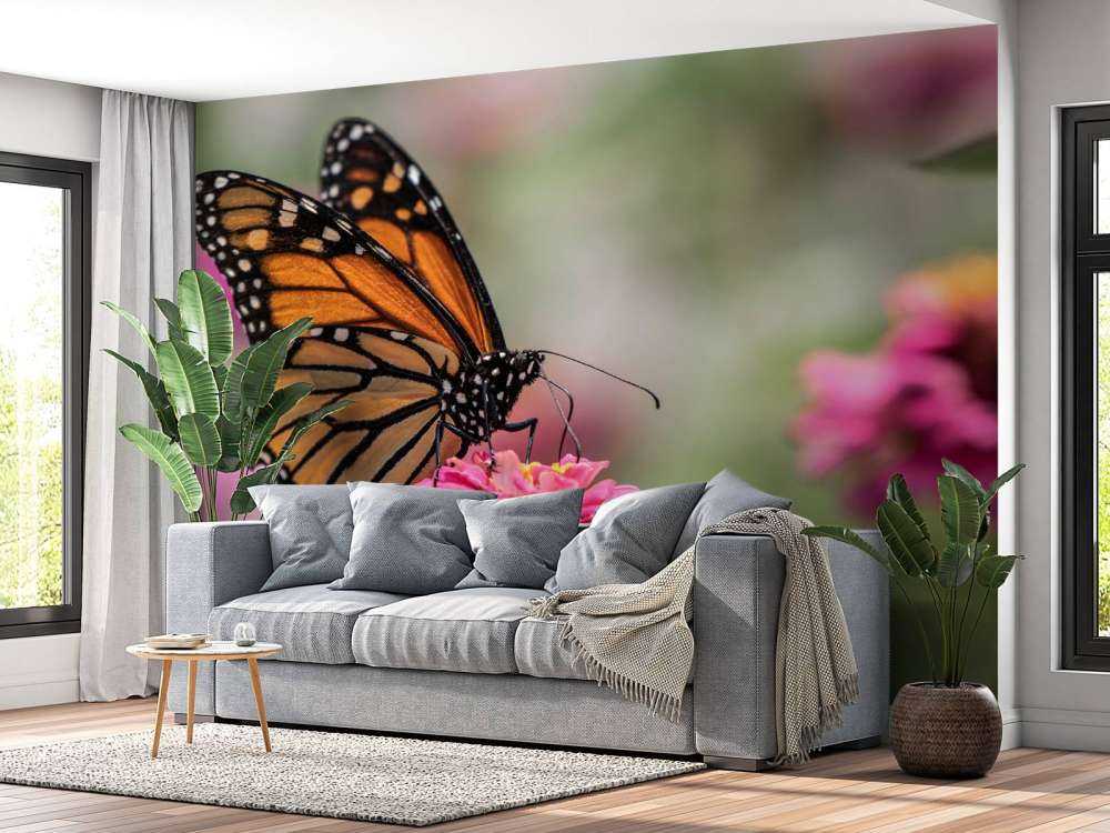 Un papillon monarque