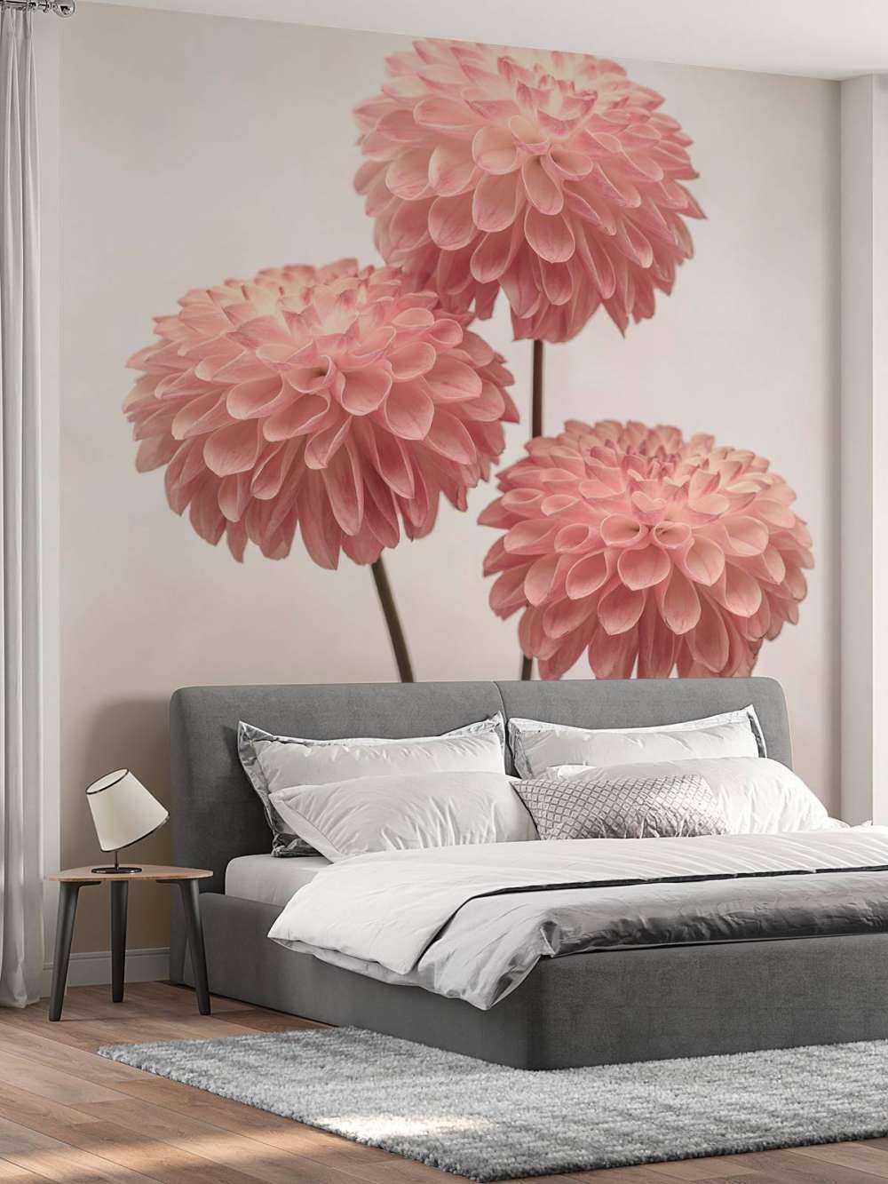 Trois dahlias roses