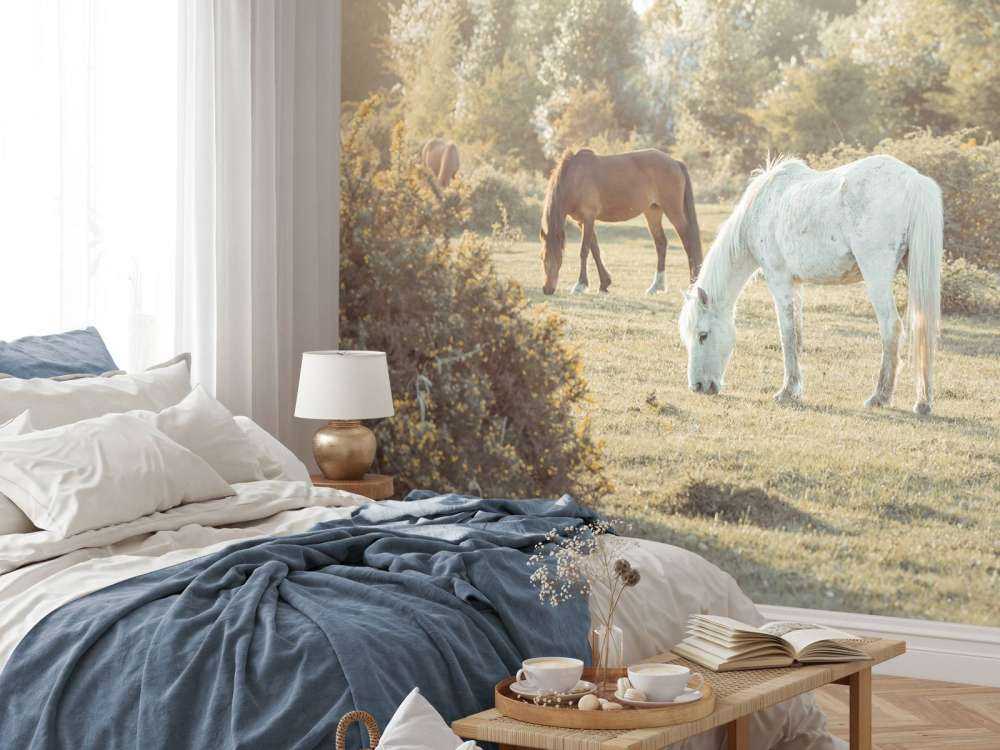 Chevaux dans la prairie