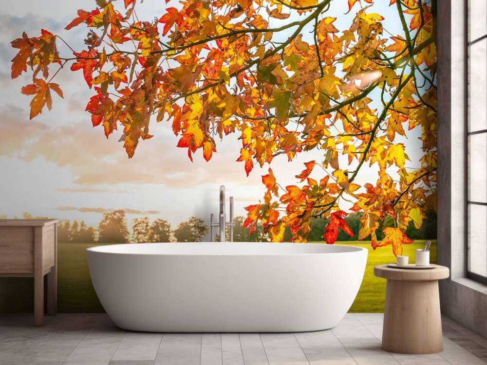 Arbre d'automne au coucher du soleil