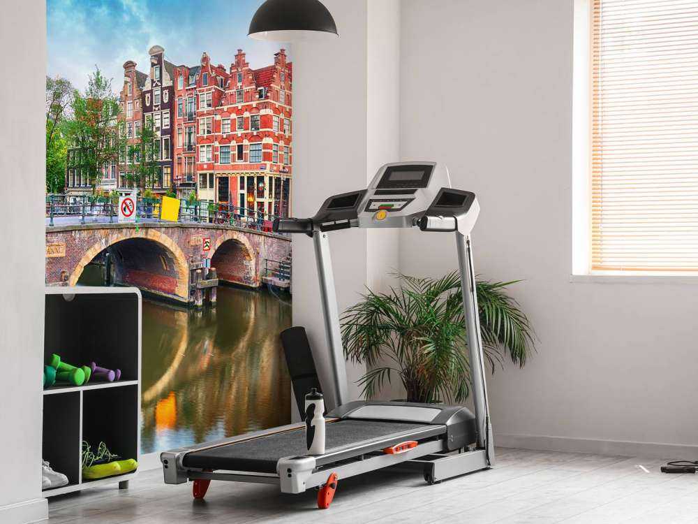 Canal d'Amsterdam