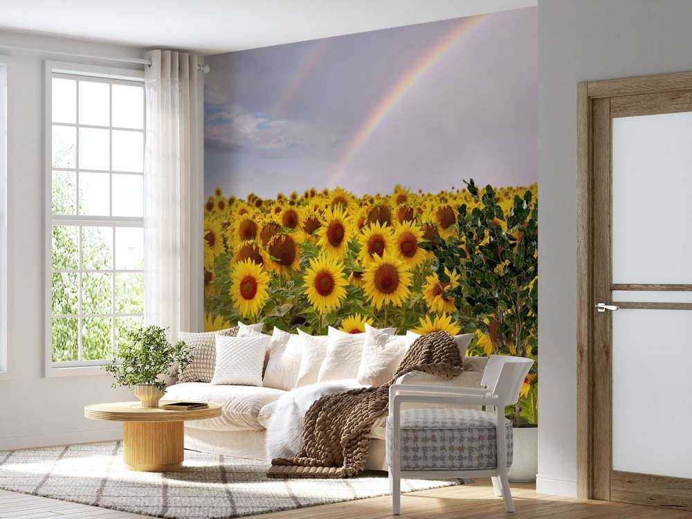 Champ de tournesols