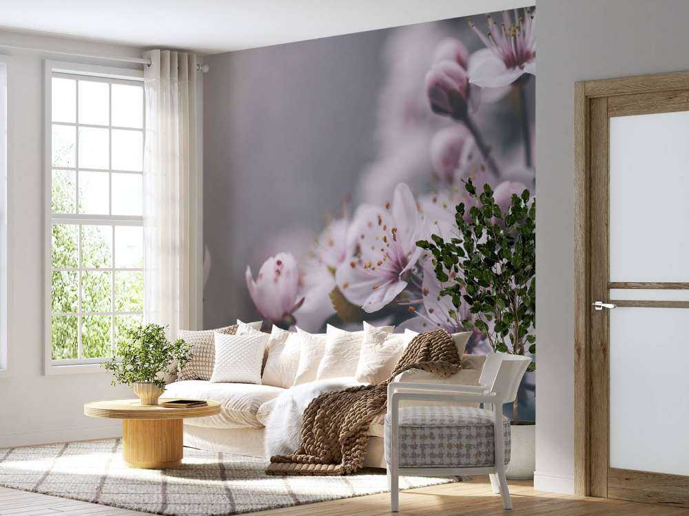 Fleur de printemps