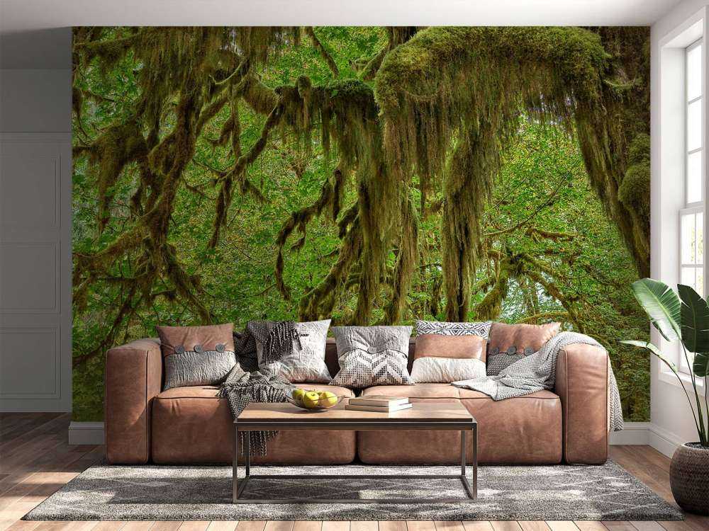 Mousse sur branches d'arbres