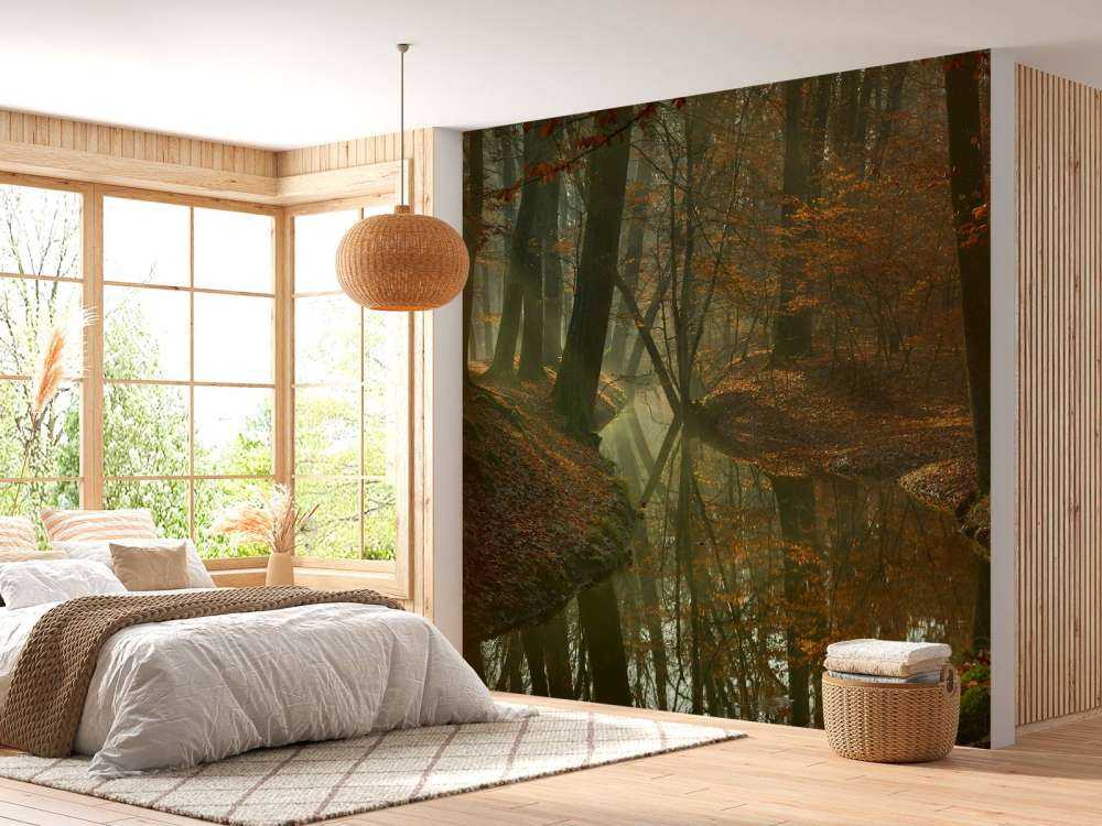 Rivière à travers la forêt