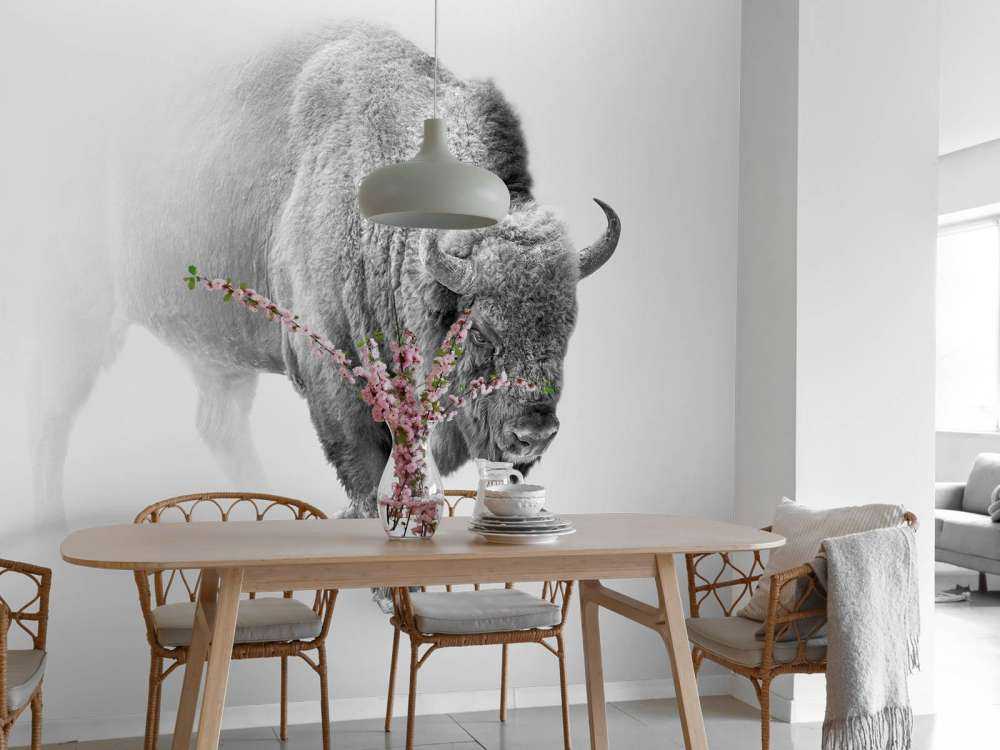 Bison noir et blanc