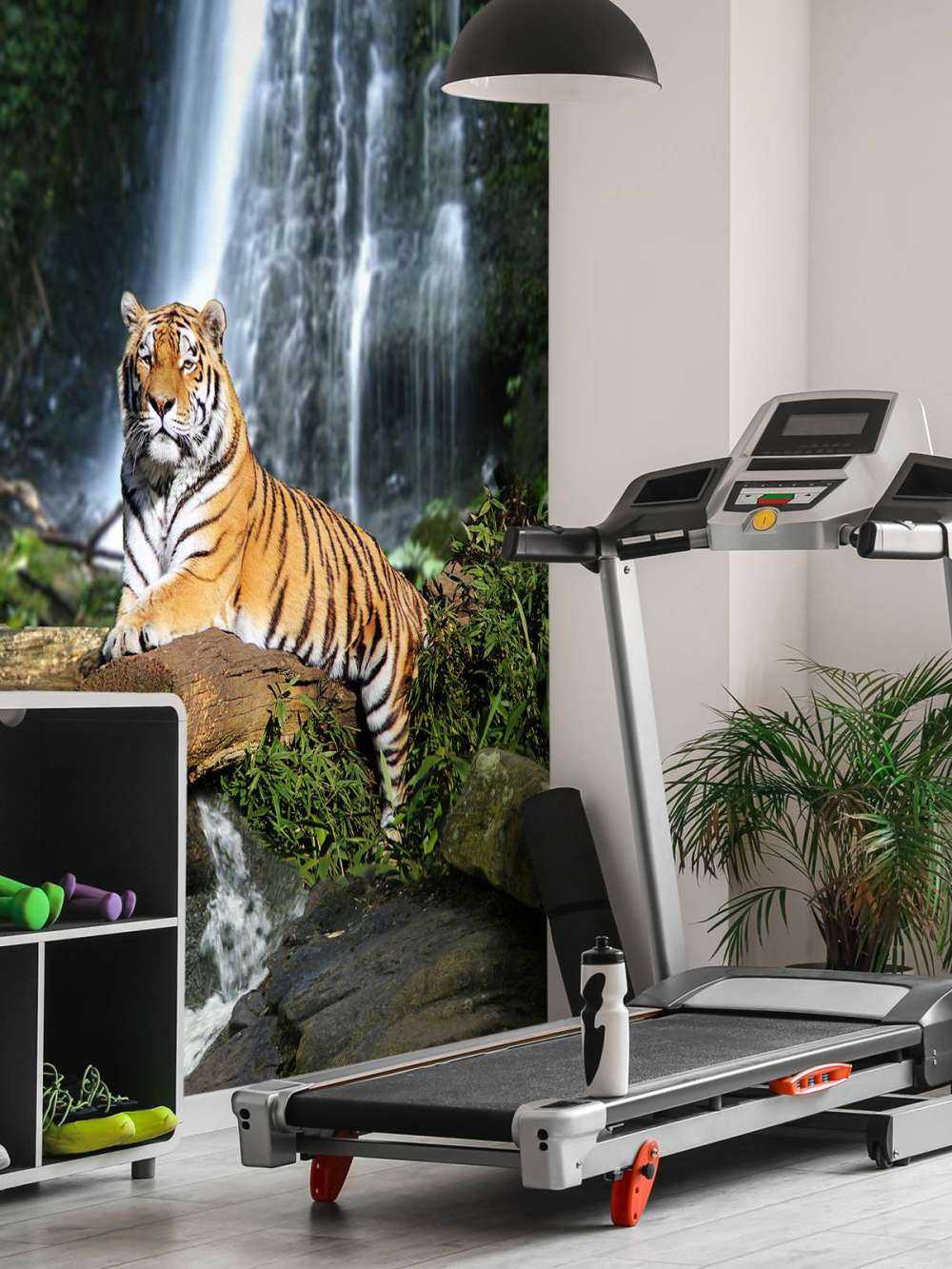 Tigre dans la jungle