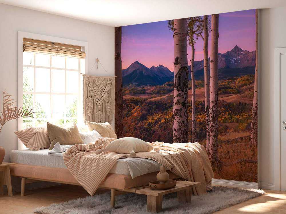 Aspen Frames