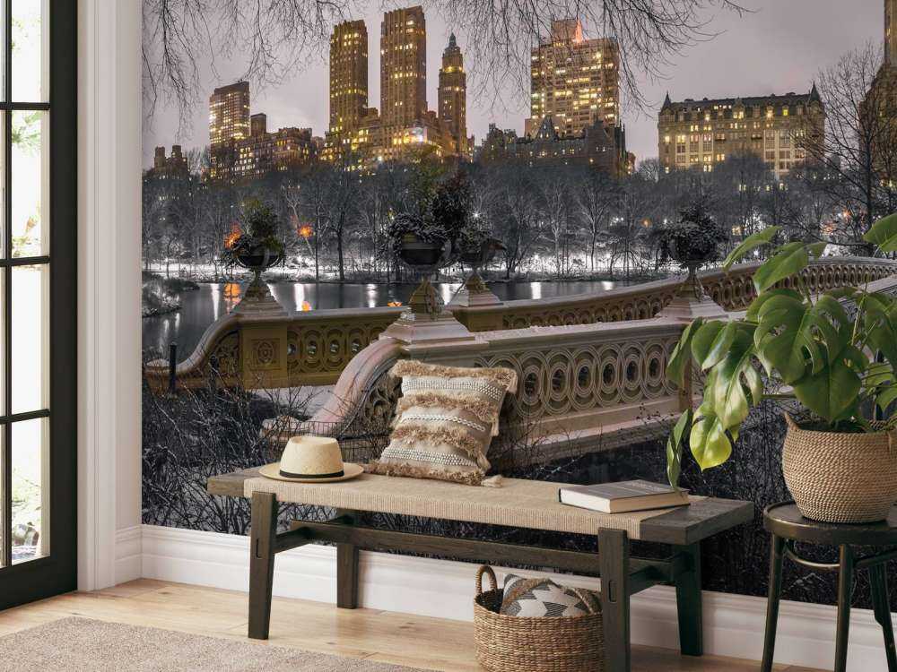 Central park et Manhattan