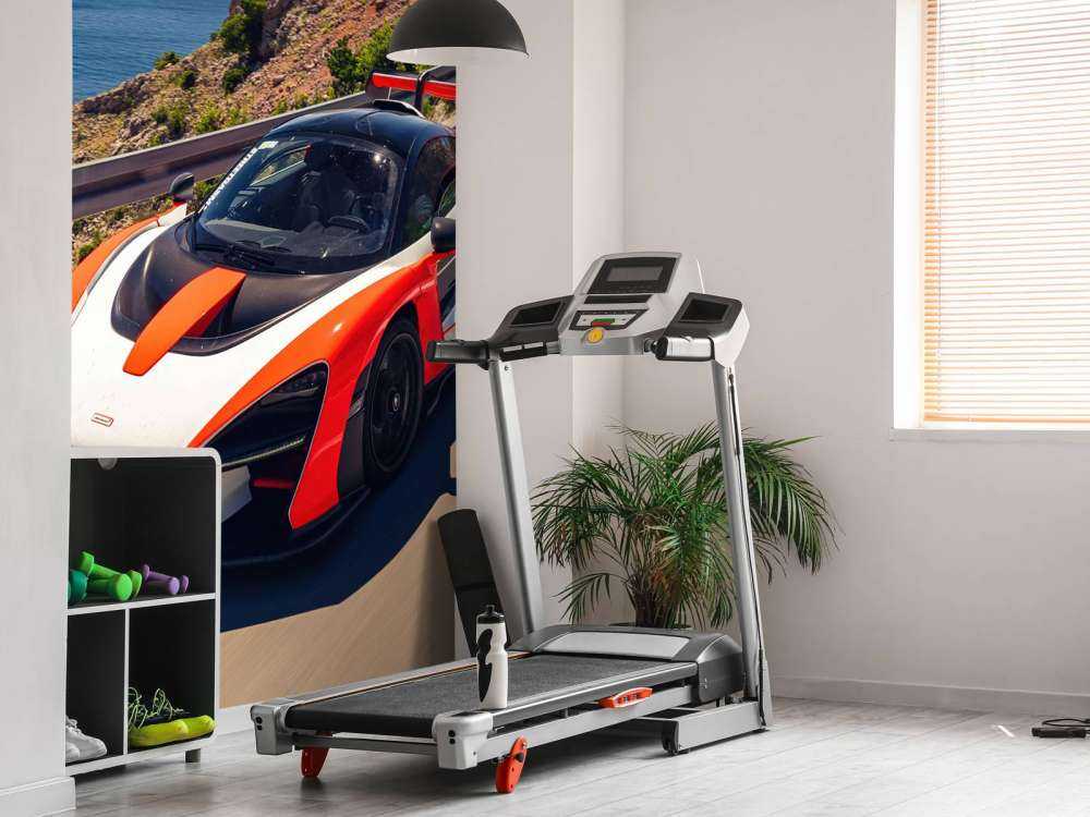 McLaren Senna Conduite Côtière