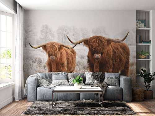 Hiver Highlander