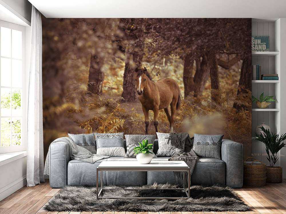 Cheval dans le désert
