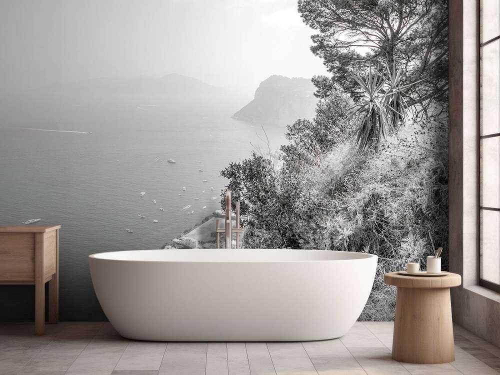 Vue de Capri